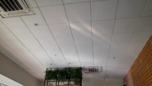 Sonique Clean Fireproof