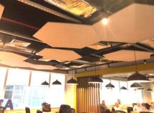 Nuvem Acústica Ecoline